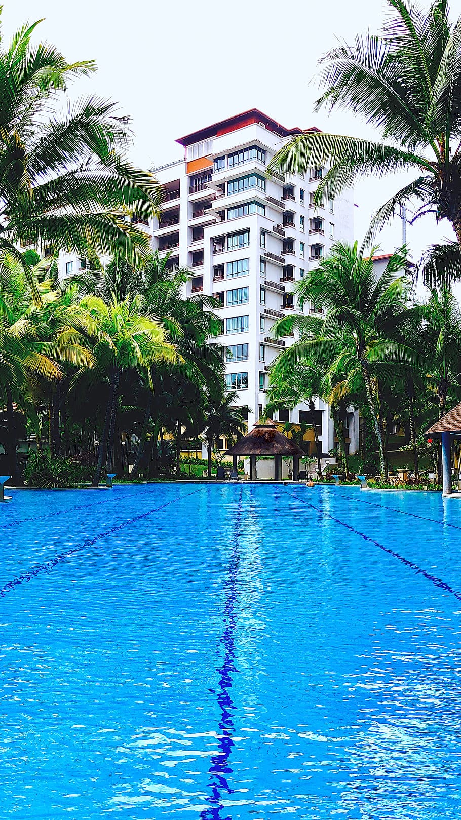 building, hotel, summer, malaysia, pool, resort, swimming, condominium HD wallpaper