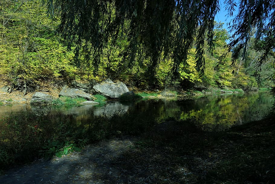 river, autumn, idyll, leaves, colorful, water, nature, landscape HD wallpaper