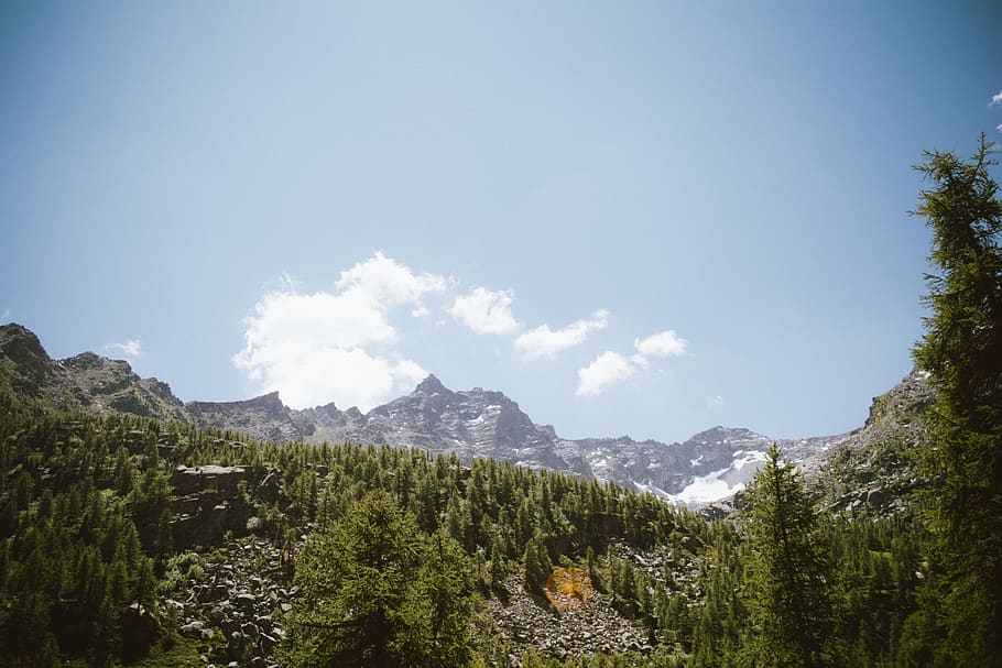 green trees, mountain, sky, plant, beauty in nature, scenics - nature HD wallpaper
