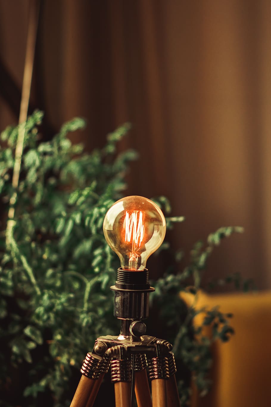 Light Bulb Turned on, energy, illuminated, lightbulb, focus on foreground HD wallpaper