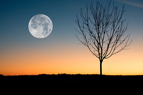 Illustration of Moon Showing during Sunset, backlit, beautiful HD wallpaper