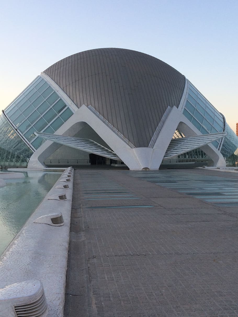 valencia, city, architecture, calatrava, museum, futuristic HD wallpaper
