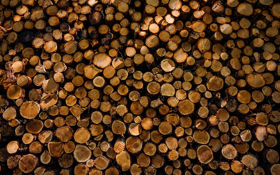 wood, lumber, plant, rug, oars, bamboo, hardwood, food, fruit, HD wallpaper
