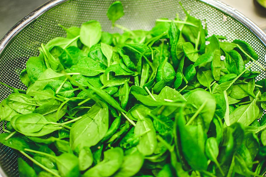 green leaves, food, food and drink, healthy eating, green color HD wallpaper