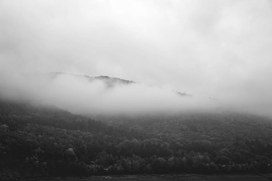 germany, edertal, edersee dam, clouds, halloween, forest, misty HD wallpaper