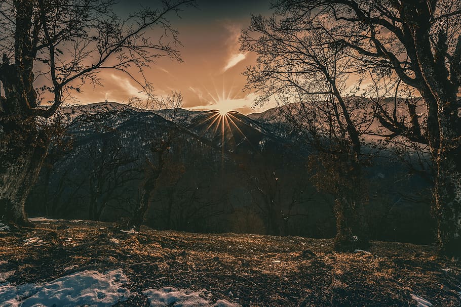 mountain viewing trees at surise, plant, beauty in nature, tranquility HD wallpaper