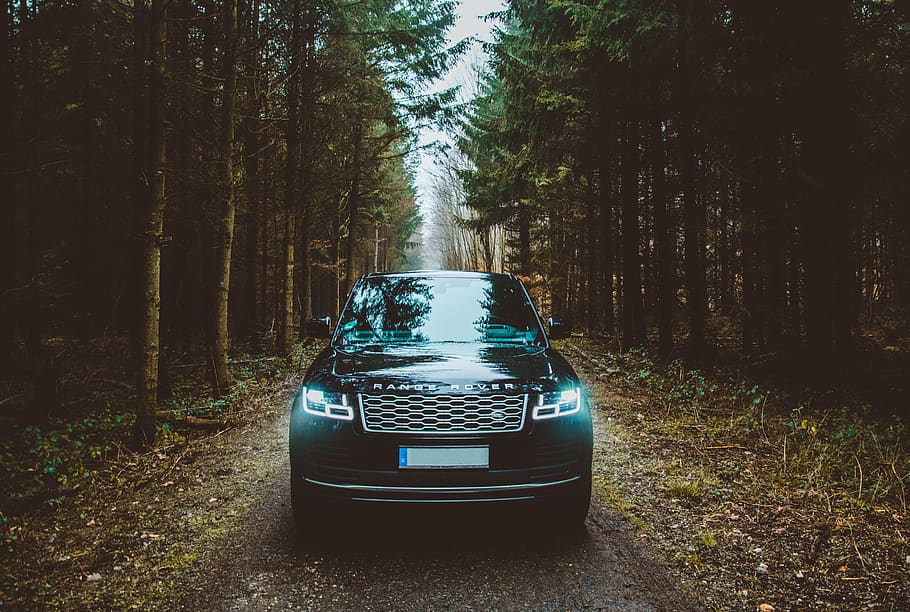 green Land Rover Range Rover SUV passing on dirt road between green trees, HD wallpaper