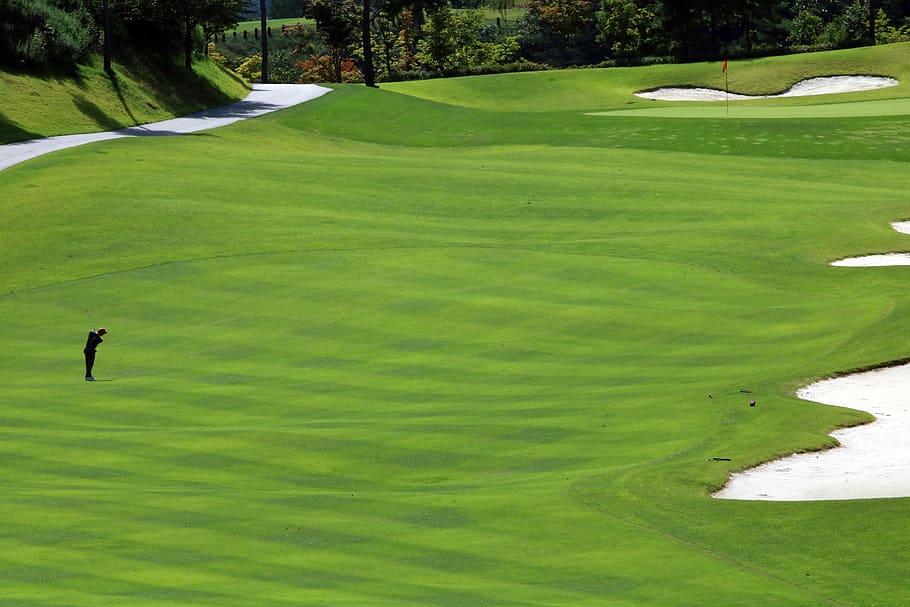 golf, green, field, grass, sport, golfers, golf course, landscape HD wallpaper