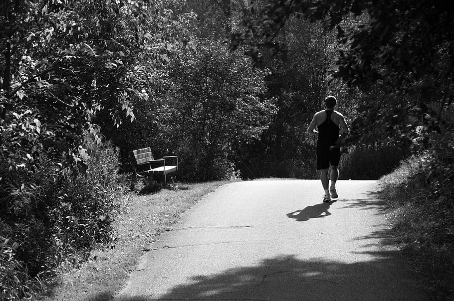 running, jog, jogging, fitness, exercise, trail, park, tree HD wallpaper