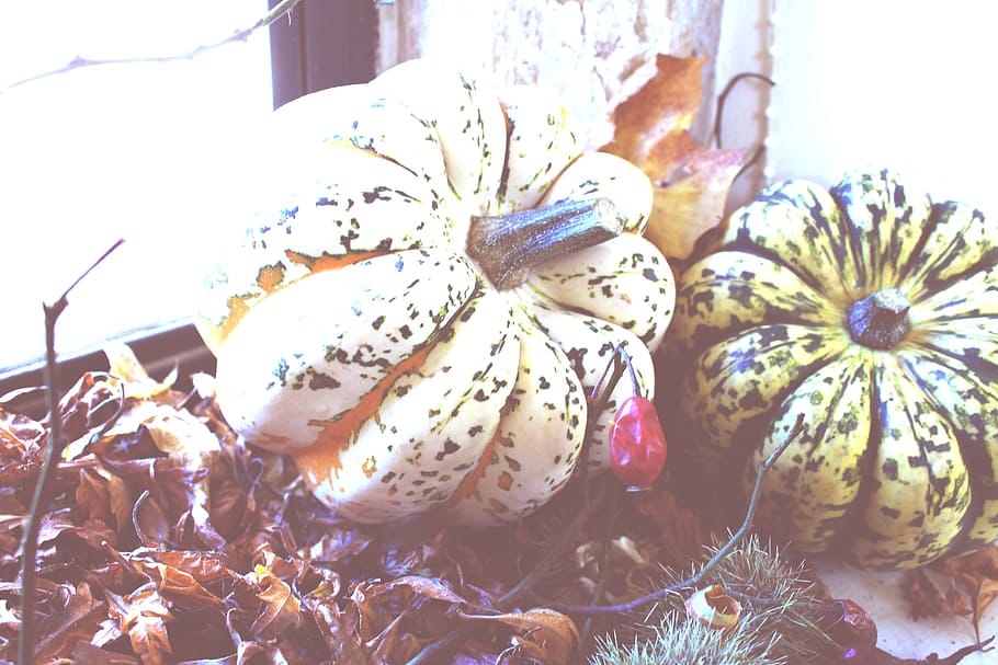 Two Green and Beige Pumpkins, blur, bright, colors, focus, leaves HD wallpaper