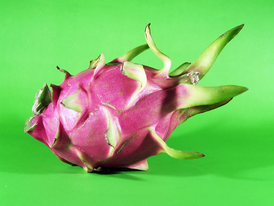Dragon fruit, exotic, green, pink, colored background, studio shot, HD wallpaper