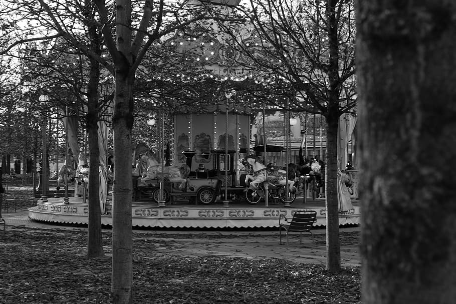 france, paris, tree, plant, nature, day, mode of transportation HD wallpaper
