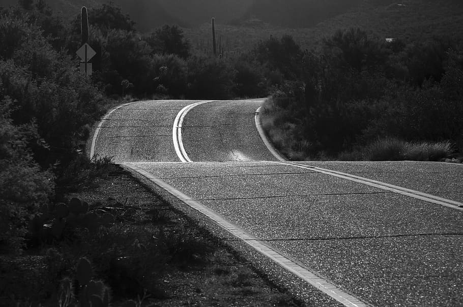 black and white, road, morning, evening, shiny, backlighting