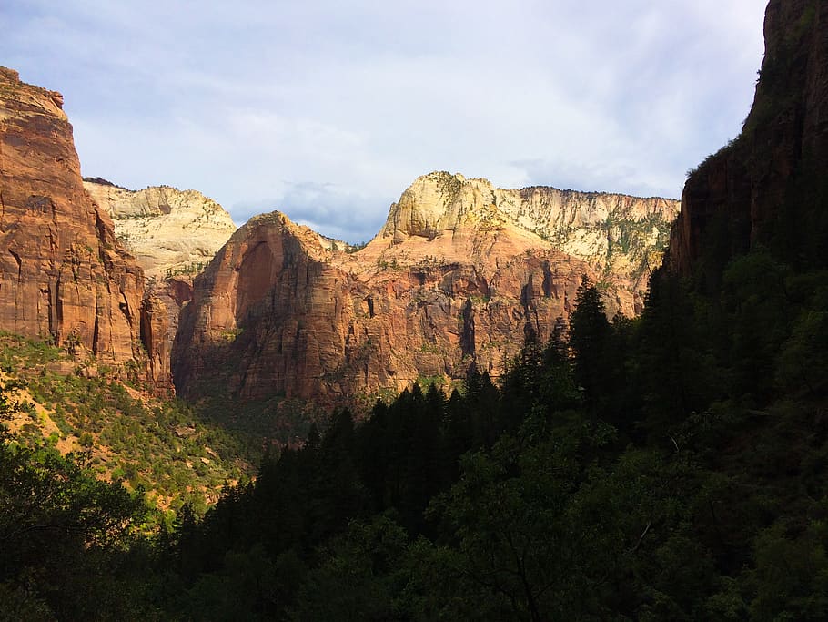 zion national park, mountain, sky, plant, travel destinations HD wallpaper