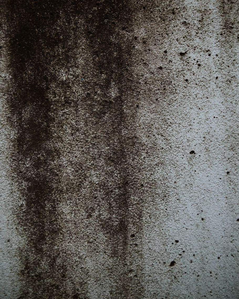 gray, grey, black, white, mold, speckled, texture, wall, type, HD wallpaper