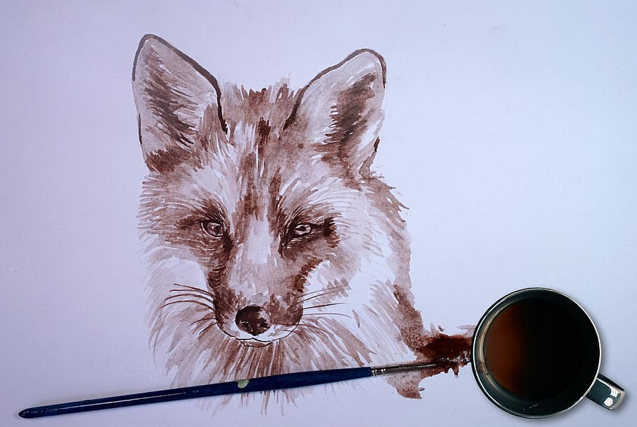 fox, coffee, paint, animal, painting, watercolor, artistic HD wallpaper