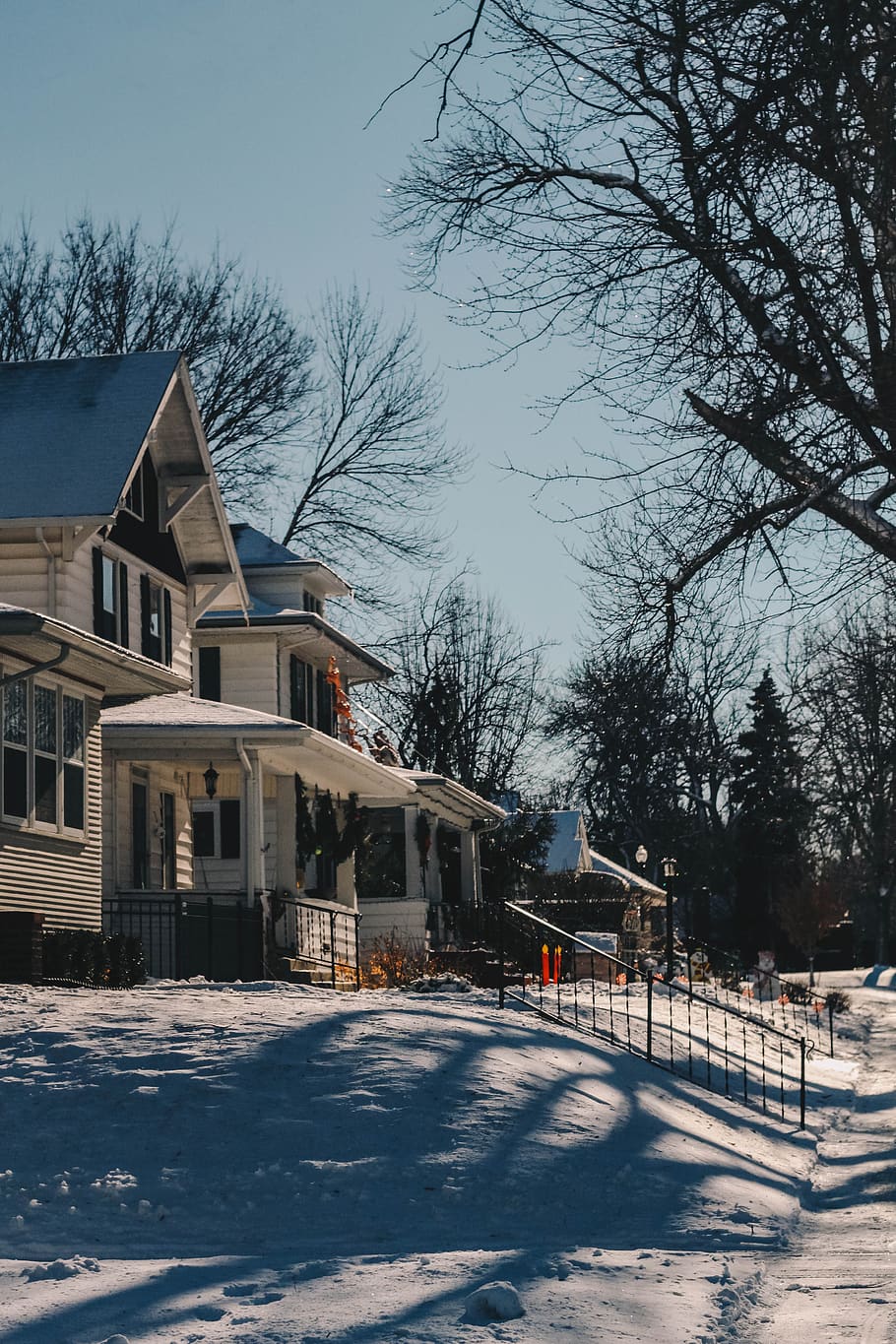 white house under bare trees, building, housing, cottage, united state HD wallpaper