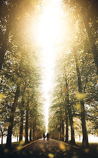 two people walking on dirt road surrounded by trees during daytime HD wallpaper