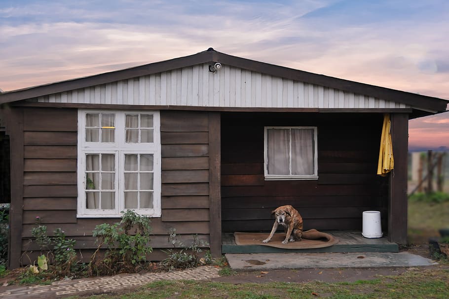 Photo Of A Dog On The Porch, anima, architecture, barn, cabin HD wallpaper