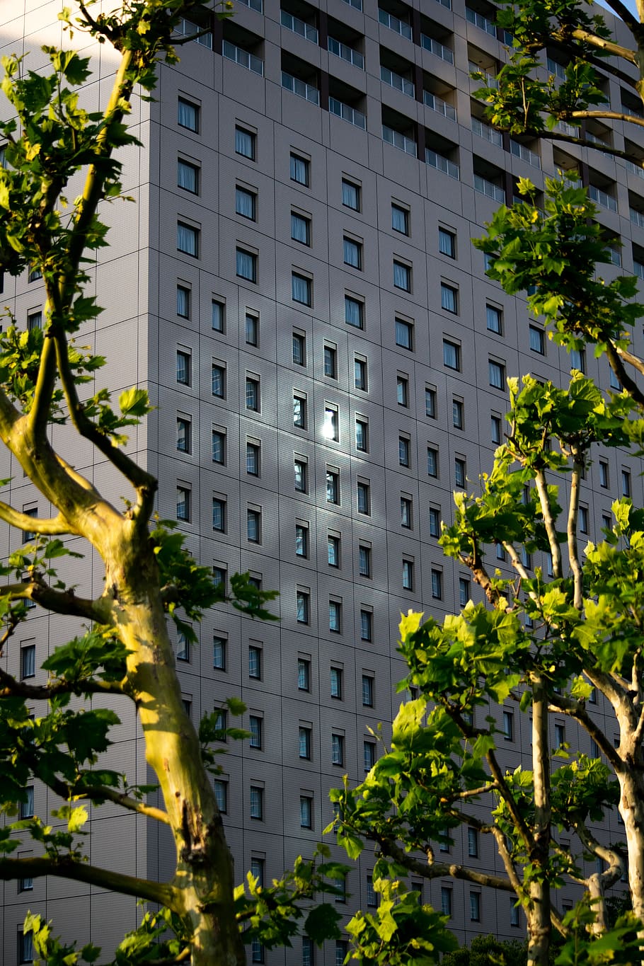 tokyo, japan, reflection, geometry, building, sunset, sunlight HD wallpaper