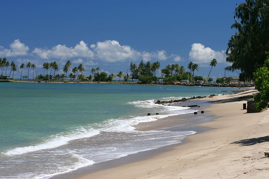 beach, view, nature, sea, ocean, blue, wave, shore, water, land HD wallpaper