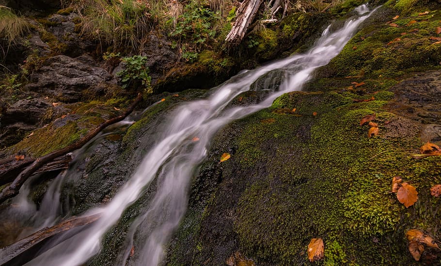 stream, water, green, moss, leaf, fall, nature, grass, landscape HD wallpaper