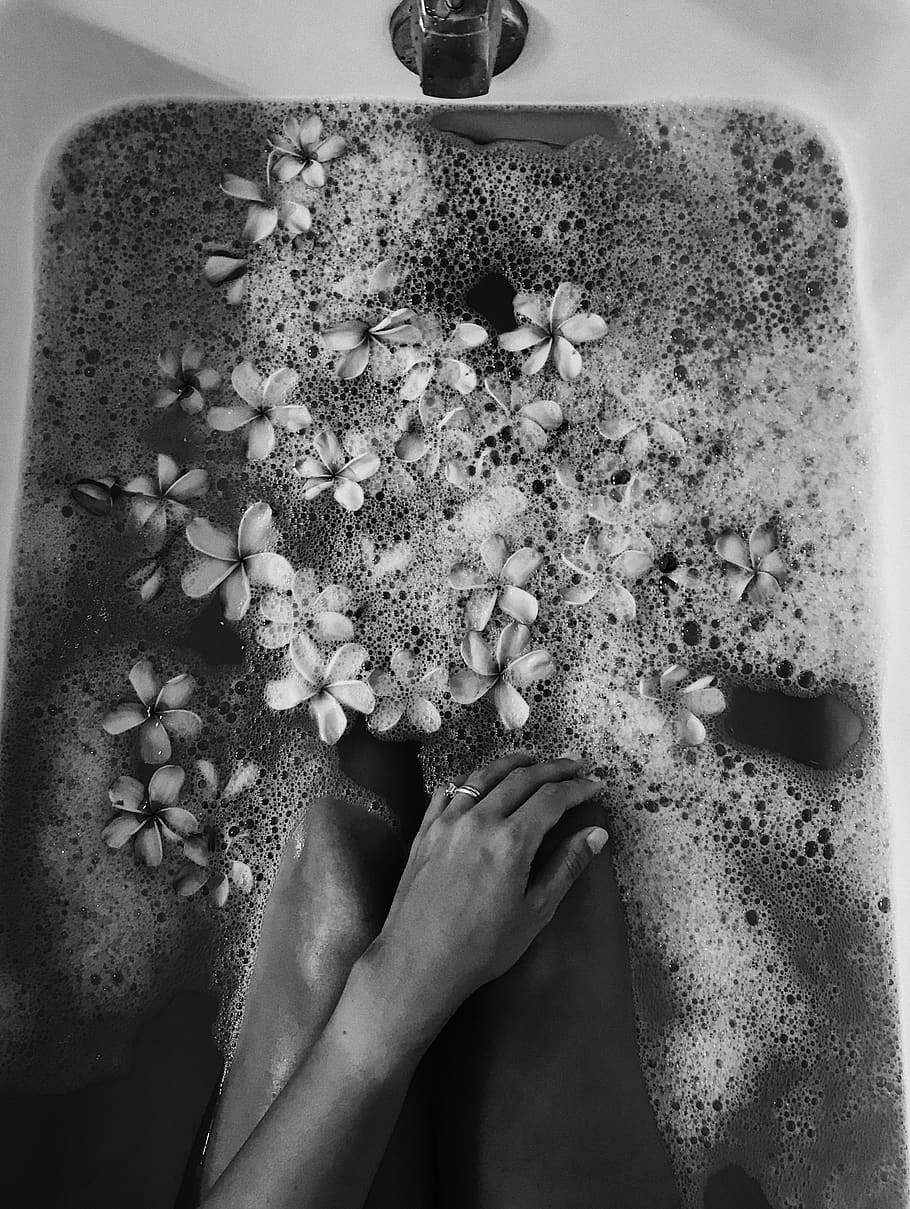 flower, flowering plant, human body part, human hand, one person HD wallpaper