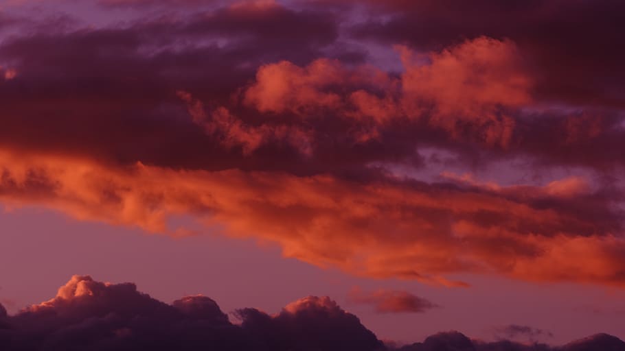cloudy sky during golden hour, nature, outdoors, weather, cumulus HD wallpaper