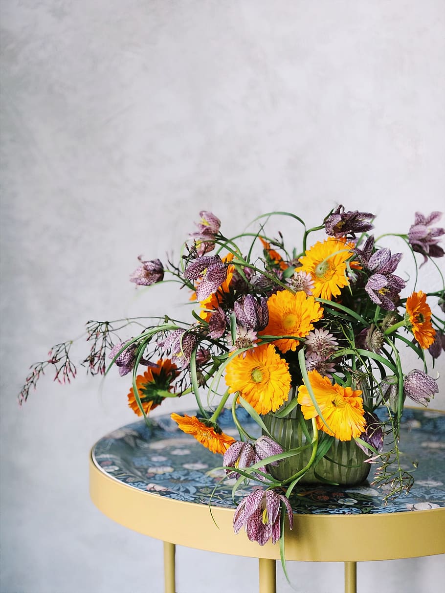 Potted Yellow and Purple Cluster Flowers, bloom, blooming, blossom HD wallpaper