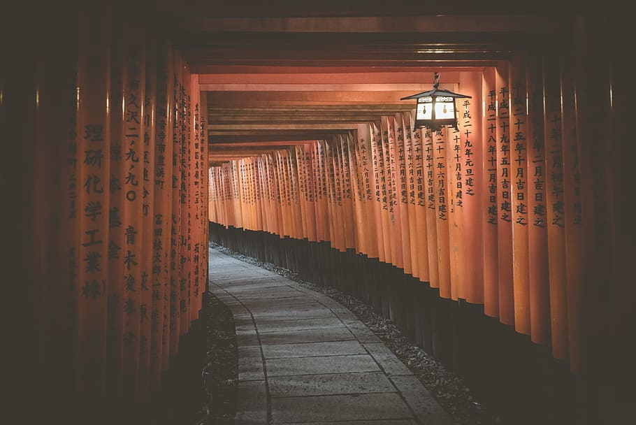 empty hallway, direction, architecture, the way forward, built structure HD wallpaper