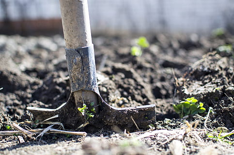Brown Shovel, backyard, blur, close-up, day, dirt, equipment HD wallpaper