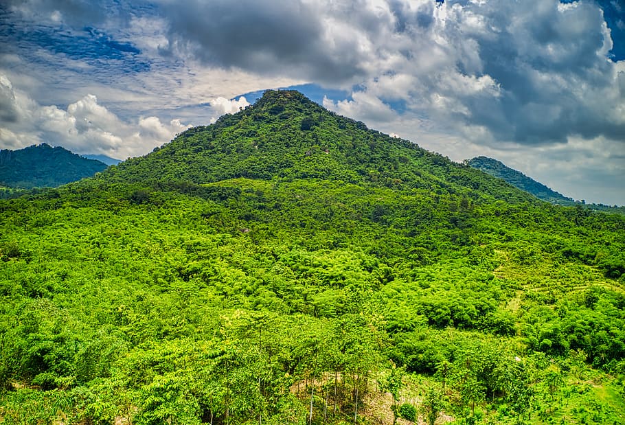 Photo of Trees on Mountain, clouds, cloudy, daylight, environment HD wallpaper