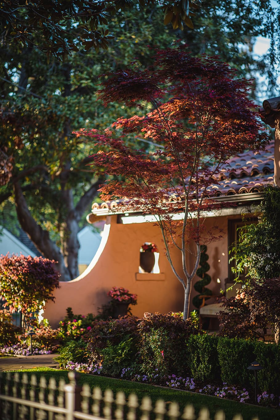 house surrounded of trees, plant, architecture, built structure HD wallpaper
