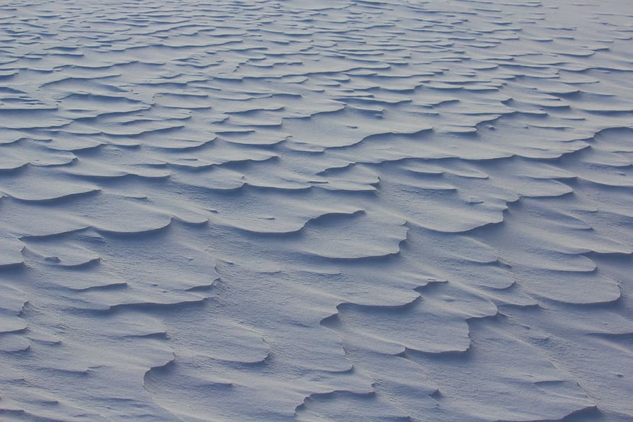 snow, cold, winter, fresh, snowfall, nature, full frame, backgrounds HD wallpaper