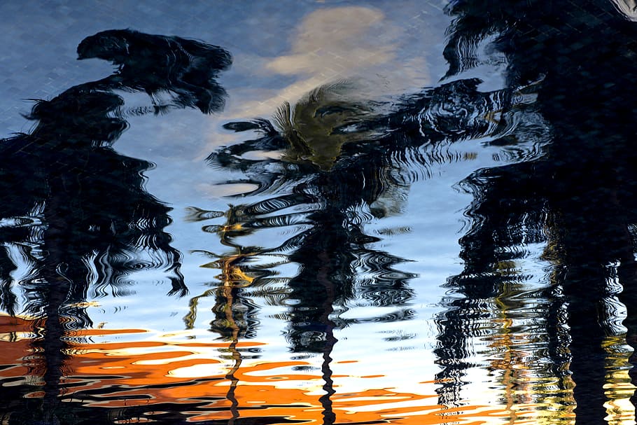 Reflection of Trees on Ripple Water, palm trees, nature, lake HD wallpaper