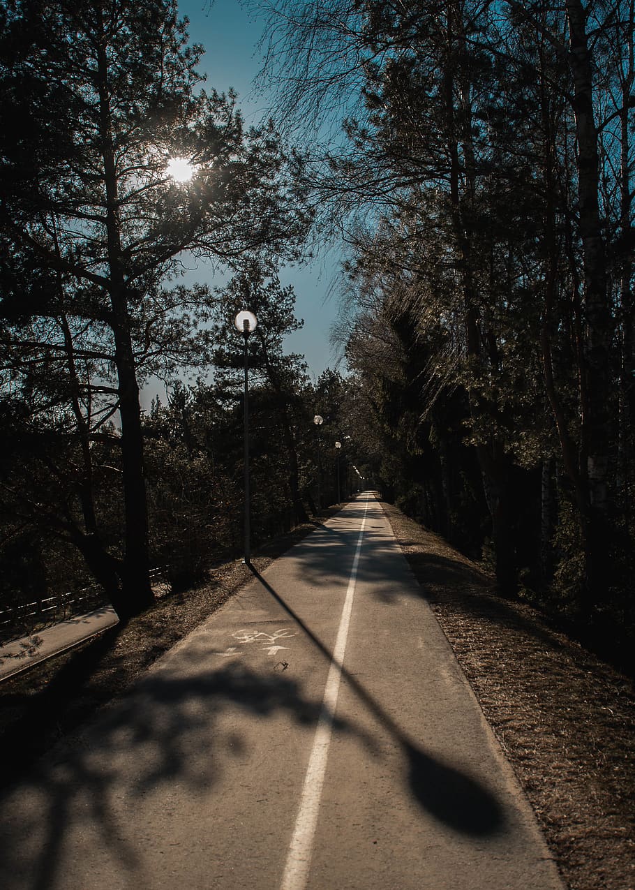 road, flare, light, tarmac, asphalt, way, highway, sunlight HD wallpaper