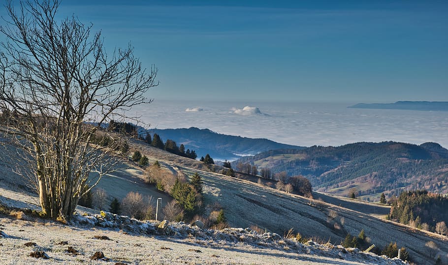 distant view, mountains, landscape, nature, panorama, outlook HD wallpaper