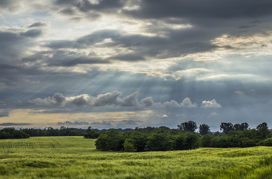 Sun Raise from the Sky over the Green Fields, clouds, grass, landscape HD wallpaper