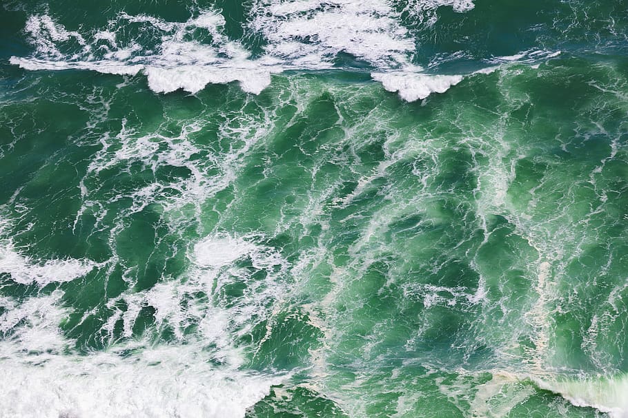green and white leaf plant, new zealand, piha beach, drone, sud HD wallpaper