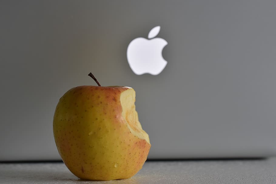 apple, laptop, computer, work, macbook, fruit, food and drink HD wallpaper
