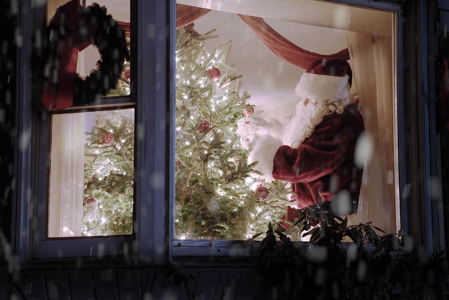 Santa Claus inside house, plant, tree, ornament, shop, window display HD wallpaper