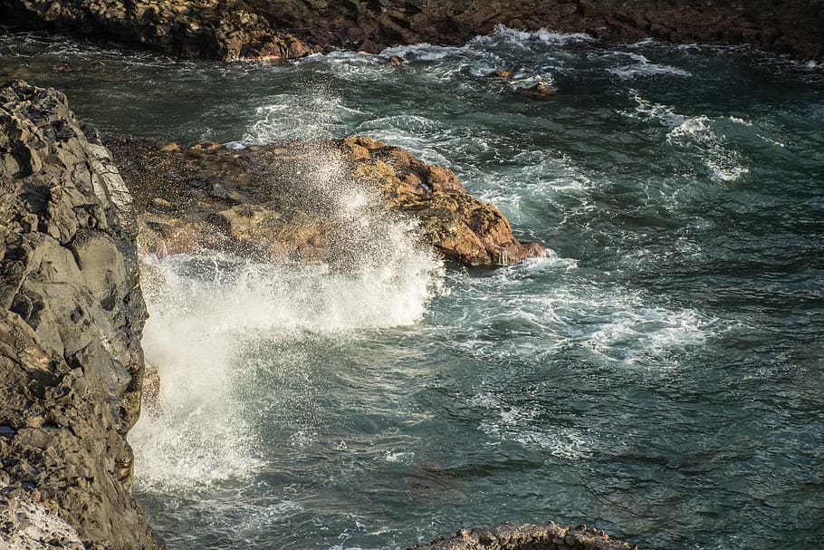 sea, savage, rocks, waves, water, motion, beauty in nature HD wallpaper