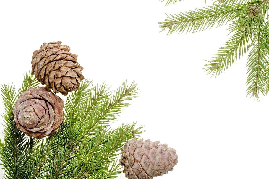 background, celebration, christmas, decor, decoration, holiday HD wallpaper