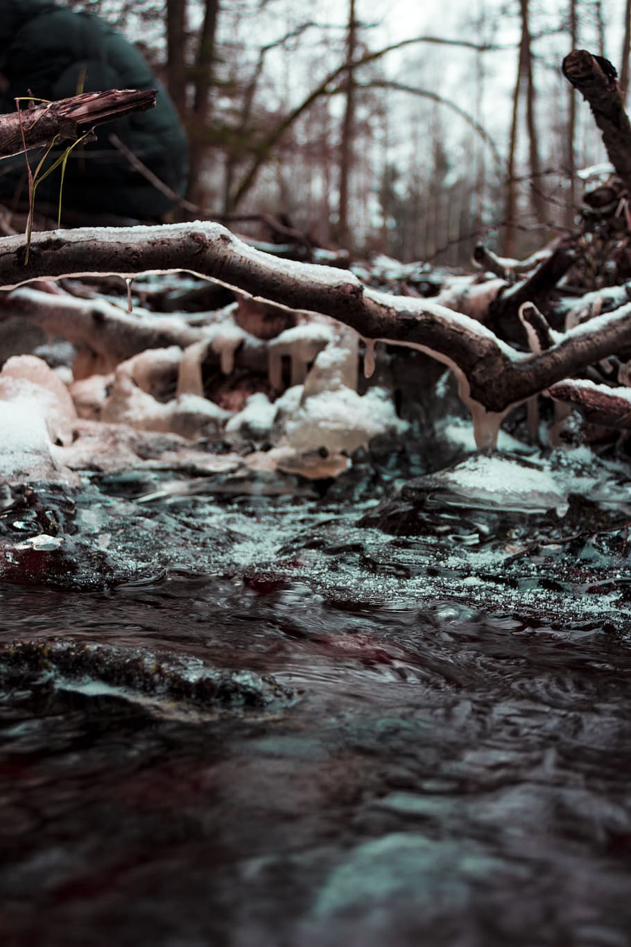 Brown Wood Branch Coated With Ice Near Water Photo, branches HD wallpaper