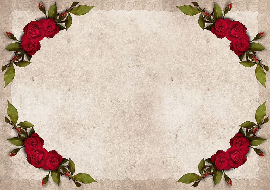 frame, roses, background, vintage, flowers, red roses, decoration, HD wallpaper