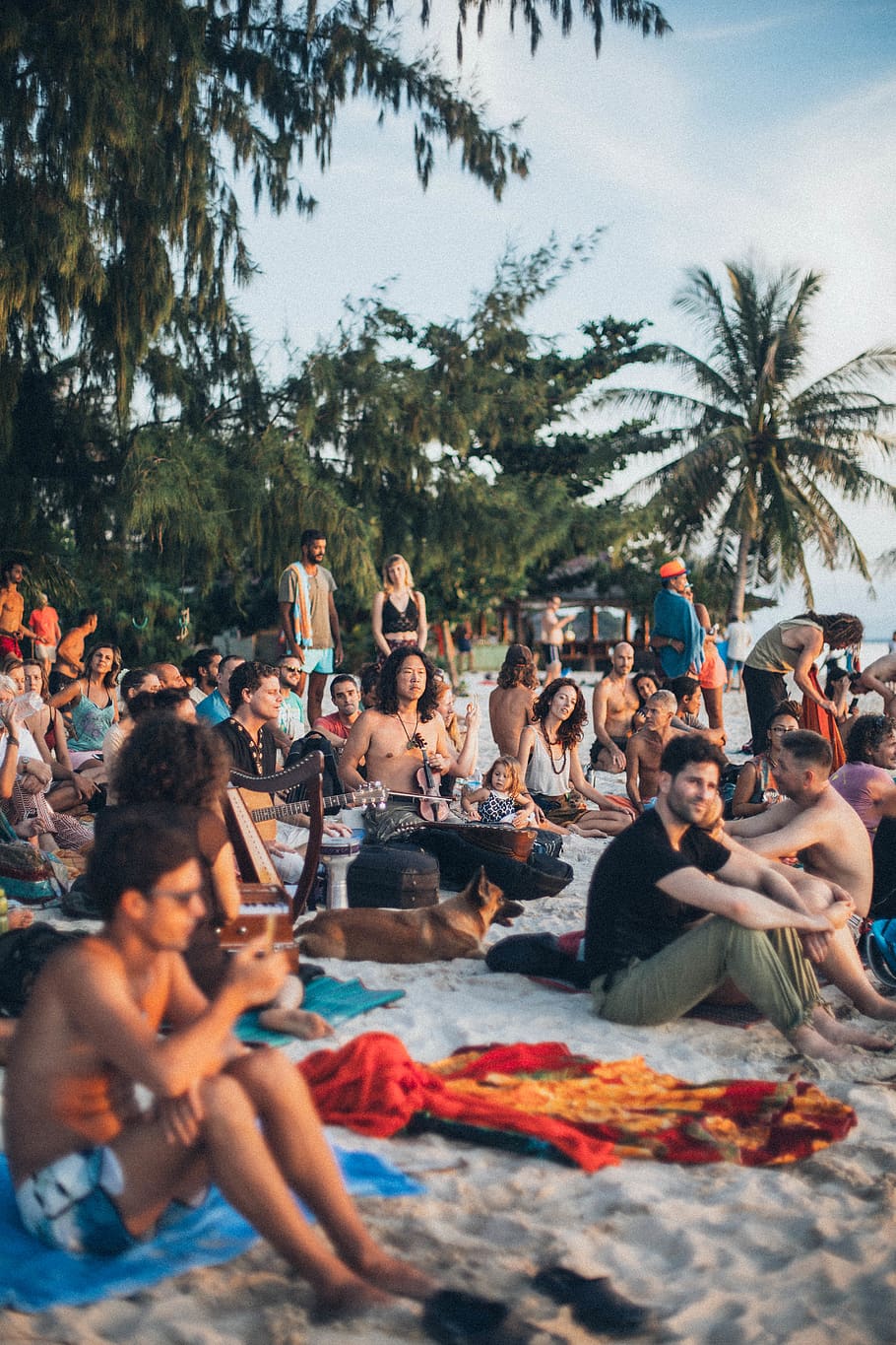 People At The Beach, crowd, enjoyment, resort, seashore, tree HD wallpaper