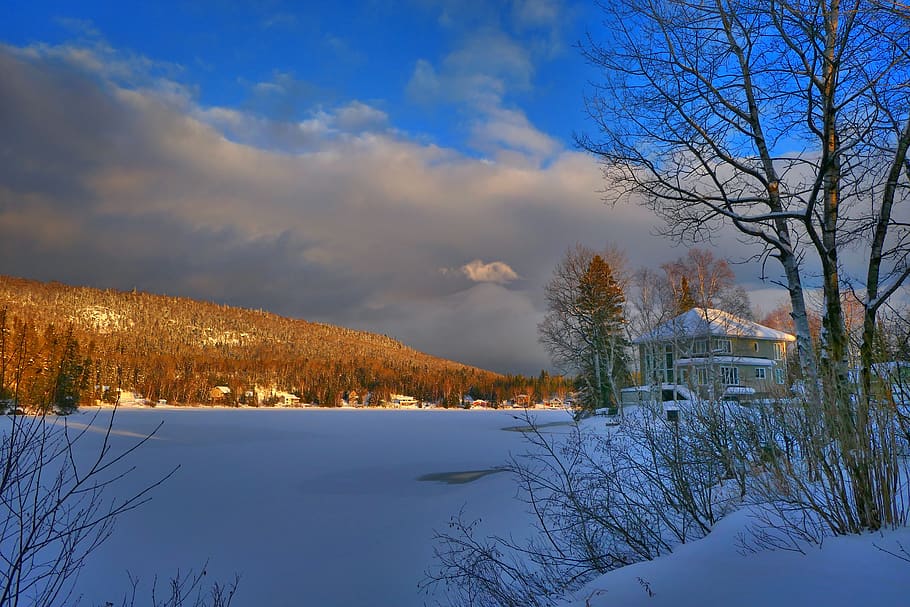 landscape, winter, cold, snow, house, trees, mountain, fir HD wallpaper