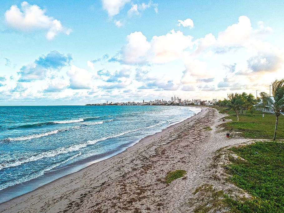 Seashore With Green Palm Trees, beach, blue sky, clouds, daytime HD wallpaper