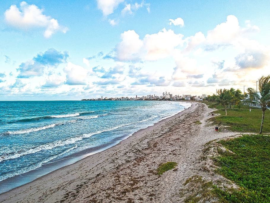brazil, cabedelo, intermares beach, ocean, sea, sand, palm tree HD wallpaper