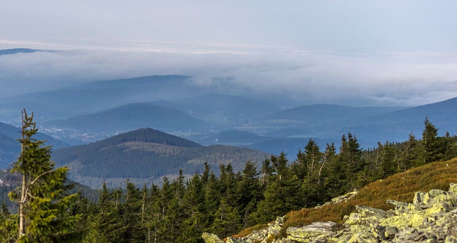 view, nature, forest, trees, mountains, clouds, scenics - nature HD wallpaper